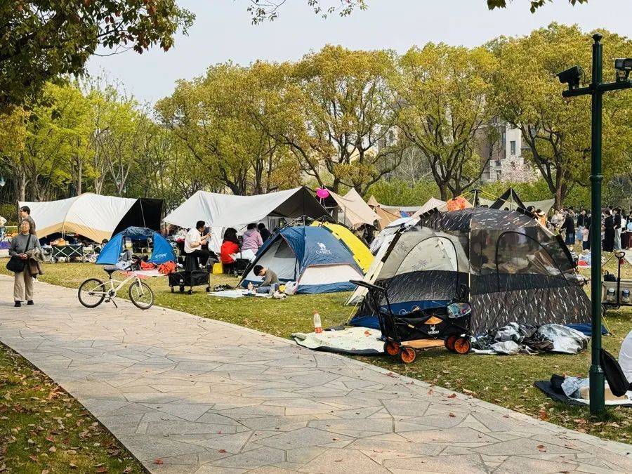 皇冠信用盘代理申请_事发上海！有人被割伤皇冠信用盘代理申请，密密麻麻！世博文化公园5月1日起禁止