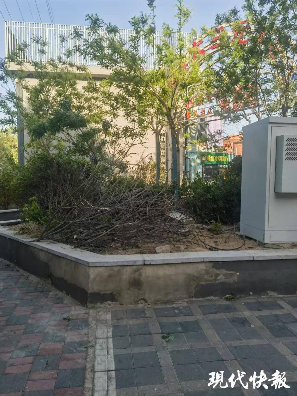 皇冠信用網APP下载_石家庄被家暴女子驾车逃跑致丈夫身亡皇冠信用網APP下载，一审以故意杀人罪获刑11年