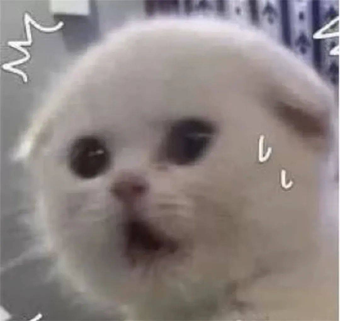 皇冠信用网会员开户_事关《哪吒2》票房皇冠信用网会员开户，上海开出罚单！影迷怒了："背刺"的竟是自己人！