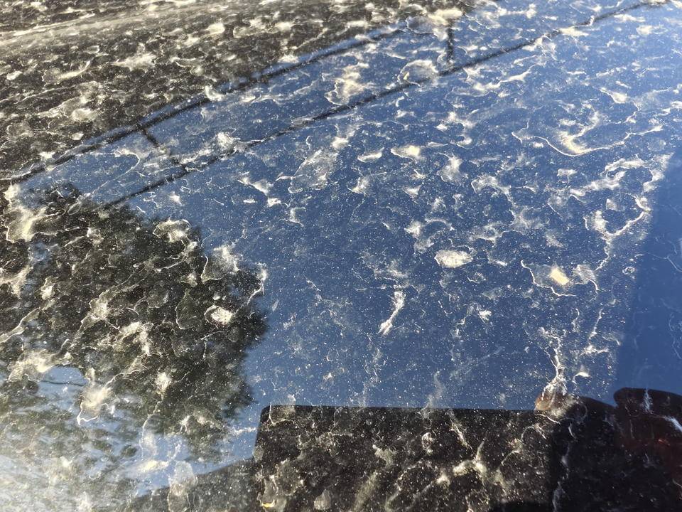 皇冠信用網登2登3_昨晚这场暴风骤雨皇冠信用網登2登3，让济南很多车辆变成“大花脸”