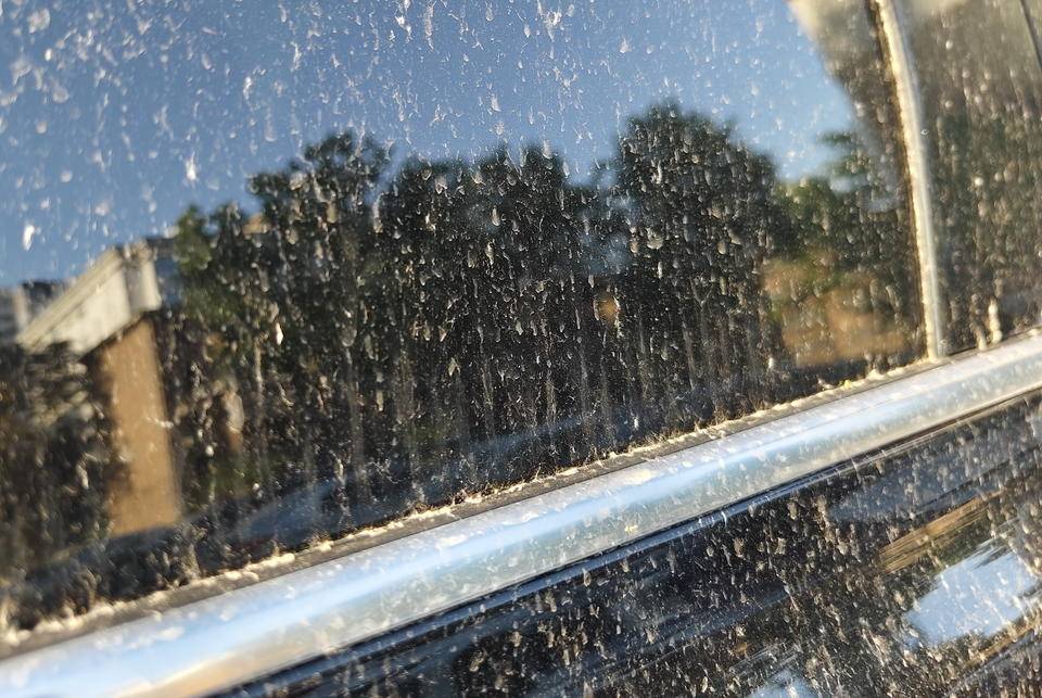 皇冠信用網登2登3_昨晚这场暴风骤雨皇冠信用網登2登3，让济南很多车辆变成“大花脸”