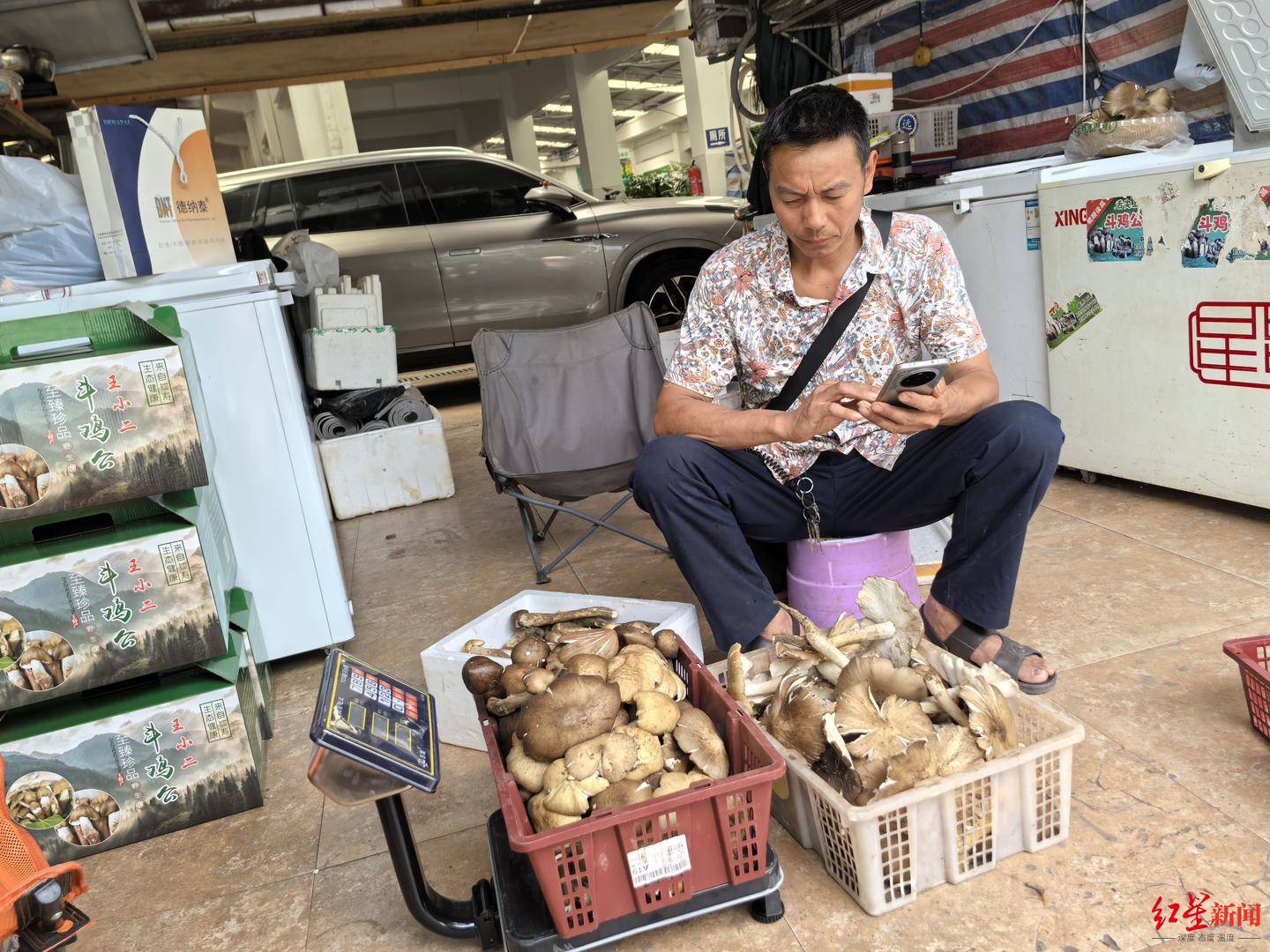 信用平台出租_“天价”鸡枞调查：最贵卖到1800元/公斤！雨水少致产量低信用平台出租，多地价高客少