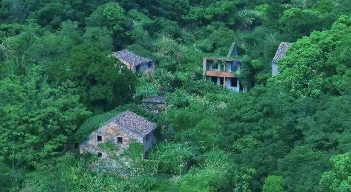 皇冠信用网如何注册_急！浙江00后姑娘在海边废弃村庄失联超4天皇冠信用网如何注册，出发前曾查阅“蓝眼泪”信息